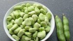 Bakla Tarımı Nasıl Yapılır?