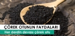 Çörekotu Faydaları Ve Zararları Nelerdir?