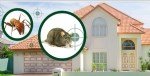 Entegre Haşere Mücadelesi (IPM)