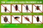 Yürüyen Haşere Mücadelesinde Doğal Ve Kimyasal Yöntemler