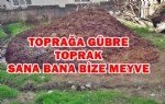 Ahır Gübresi Ve Önemi Nelerdir?