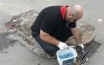 Kemirgen Kontrolü Nasıl Yapılır? En Etkili Yöntemler