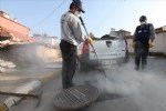 Kemirgen Kontrolü Nasıl Yapılır? En Etkili Yöntemler
