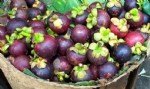 Mangostan Meyvesi Nedir?