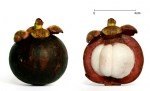 Mangostan Meyvesi Nedir?
