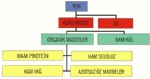 Yemlerde Kül Ve Organik Madde Tayini Analizi Nasıl Yapılır?