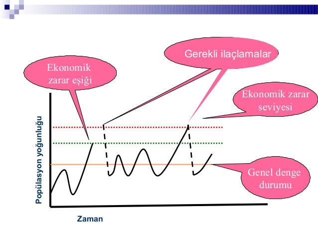 Ekonomik Zarar Eii