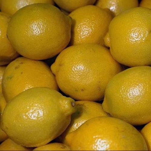 talyan Memeli - Kara Limon