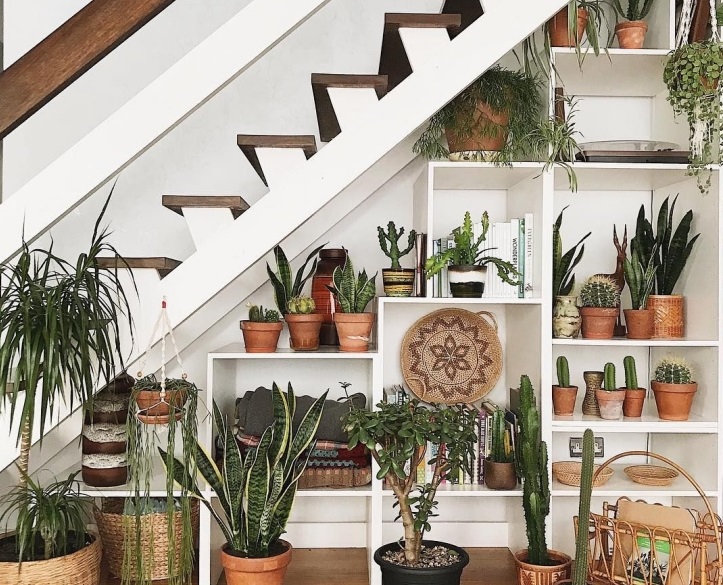 İç Mekan Bitkileri ile Minimalist Tasarım Fikirleri