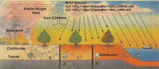 Asit Yamurlar