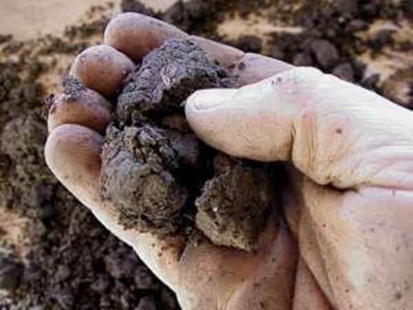 Toprak Tavı Nedir Nasıl Olmalıdır? Toprak Tavı Nedir Nasıl Olmalıdır?