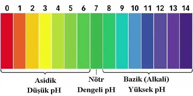 Asit Ve Bazlarn zellikleri