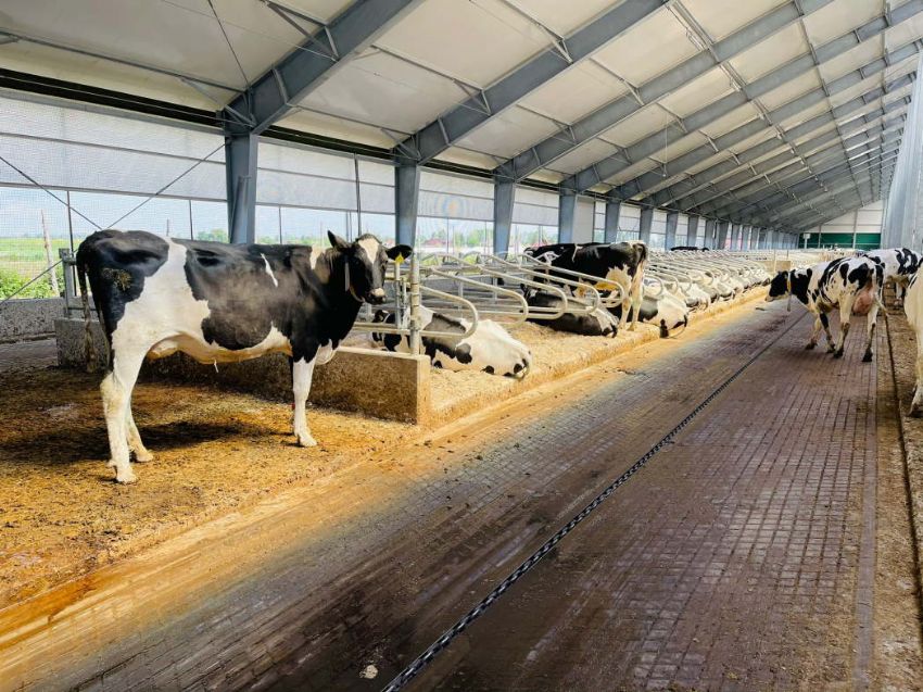Küçük Çiftliklerden Büyük İşletmelere Geçişte Bilinmesi Gerekenler